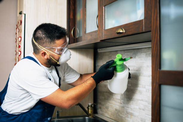 Reliable Roosevelt, NY Pest Control Solutions