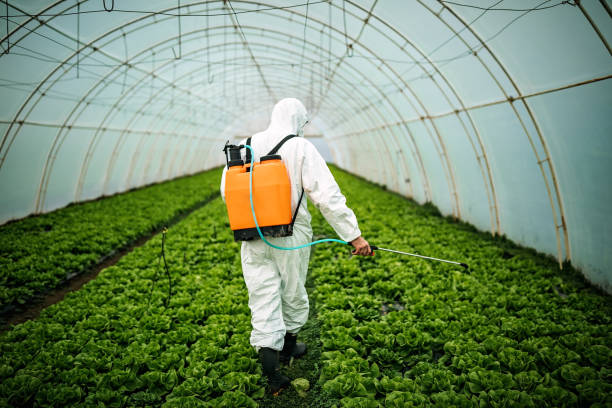 Best Affordable Pest Control Services  in Roosevelt, NY