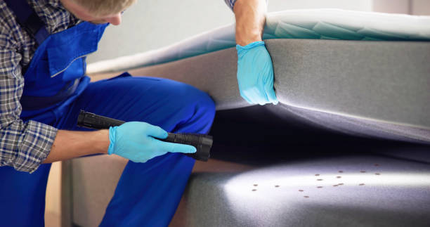 Best Local Pest Control Services  in Roosevelt, NY