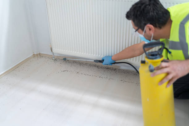 Best Pest Removal Services  in Roosevelt, NY